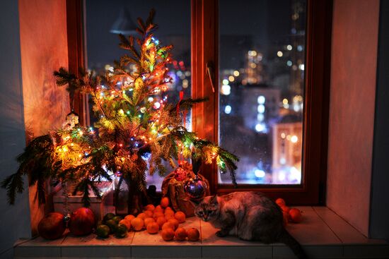 New Year celebrations in Russian cities