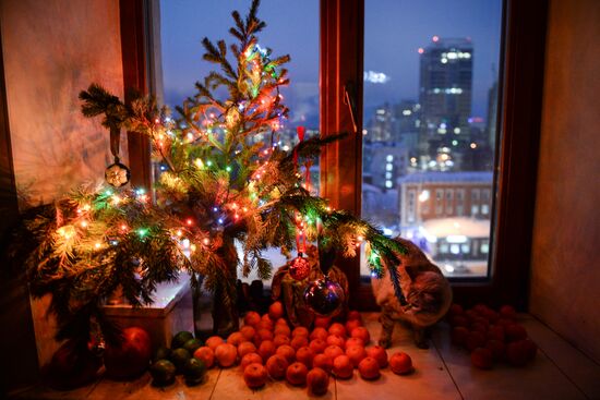 New Year celebrations in Russian cities