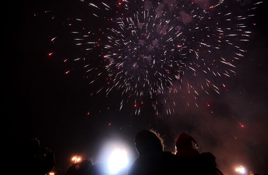New Year celebrations on Vasilyevsky Spusk in Moscow