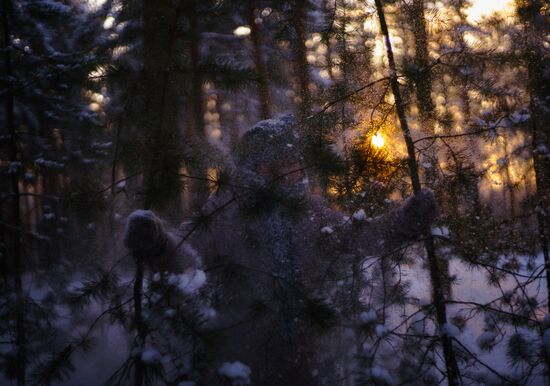 Winter in Russian regions