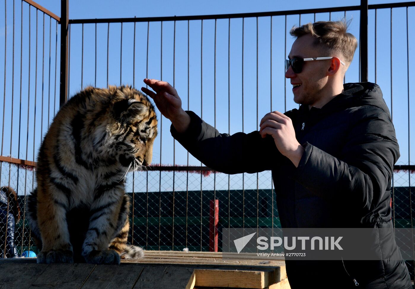 New inhabitants of Chudesny zoo in Vladivostok