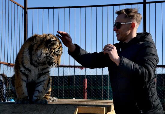 New inhabitants of Chudesny zoo in Vladivostok