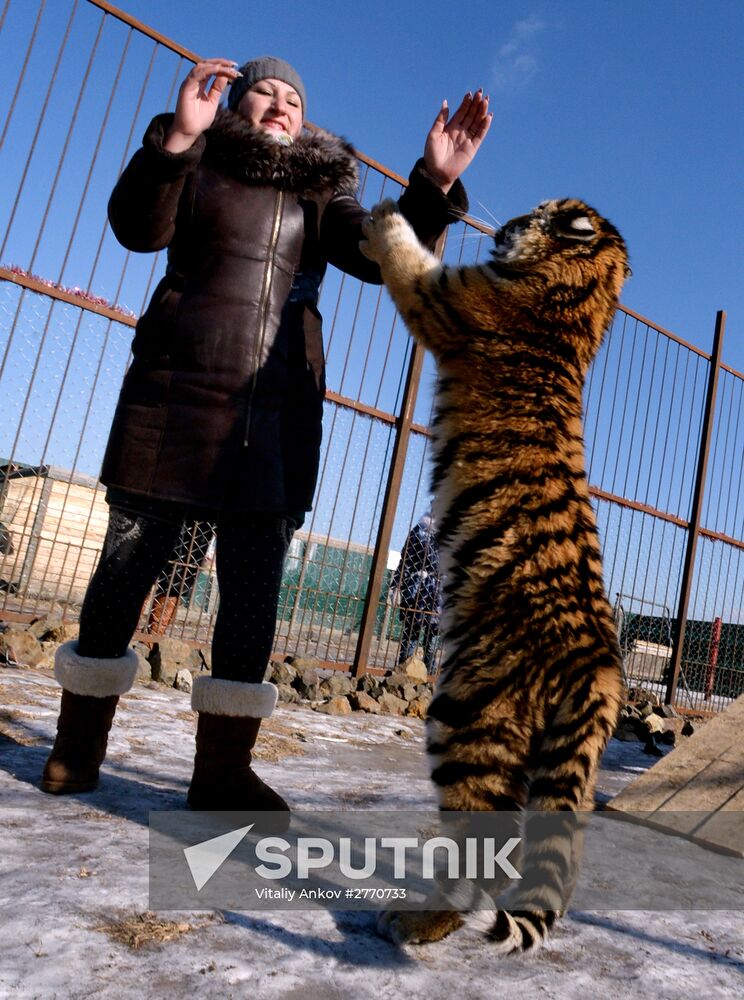 New inhabitants of Chudesny zoo in Vladivostok