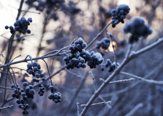 Winter in St. Petersburg