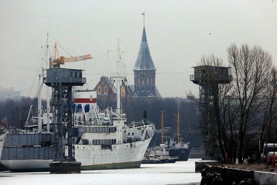 Winter in Kaliningrad