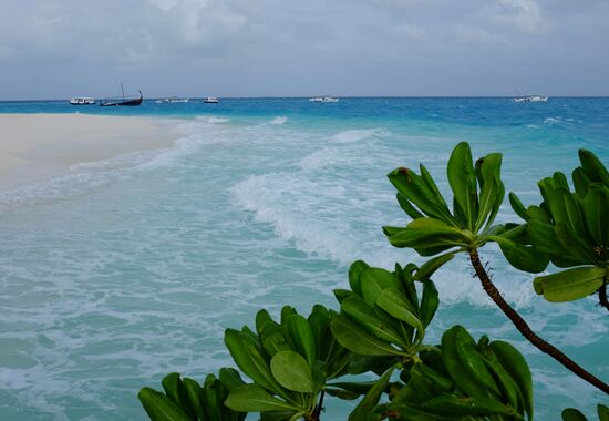 Vellasaru Maldives Island