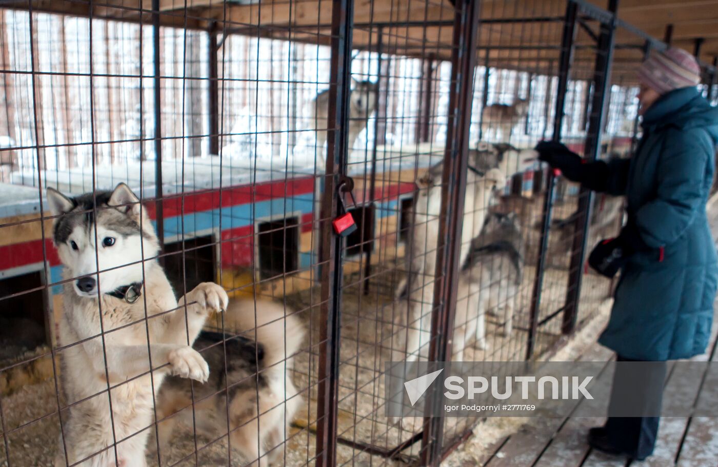 Shuya River tourism in Karelia