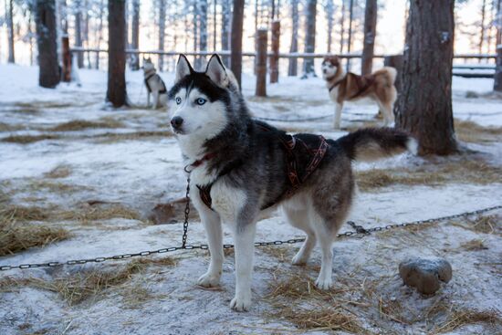 Shuya River tourism in Karelia