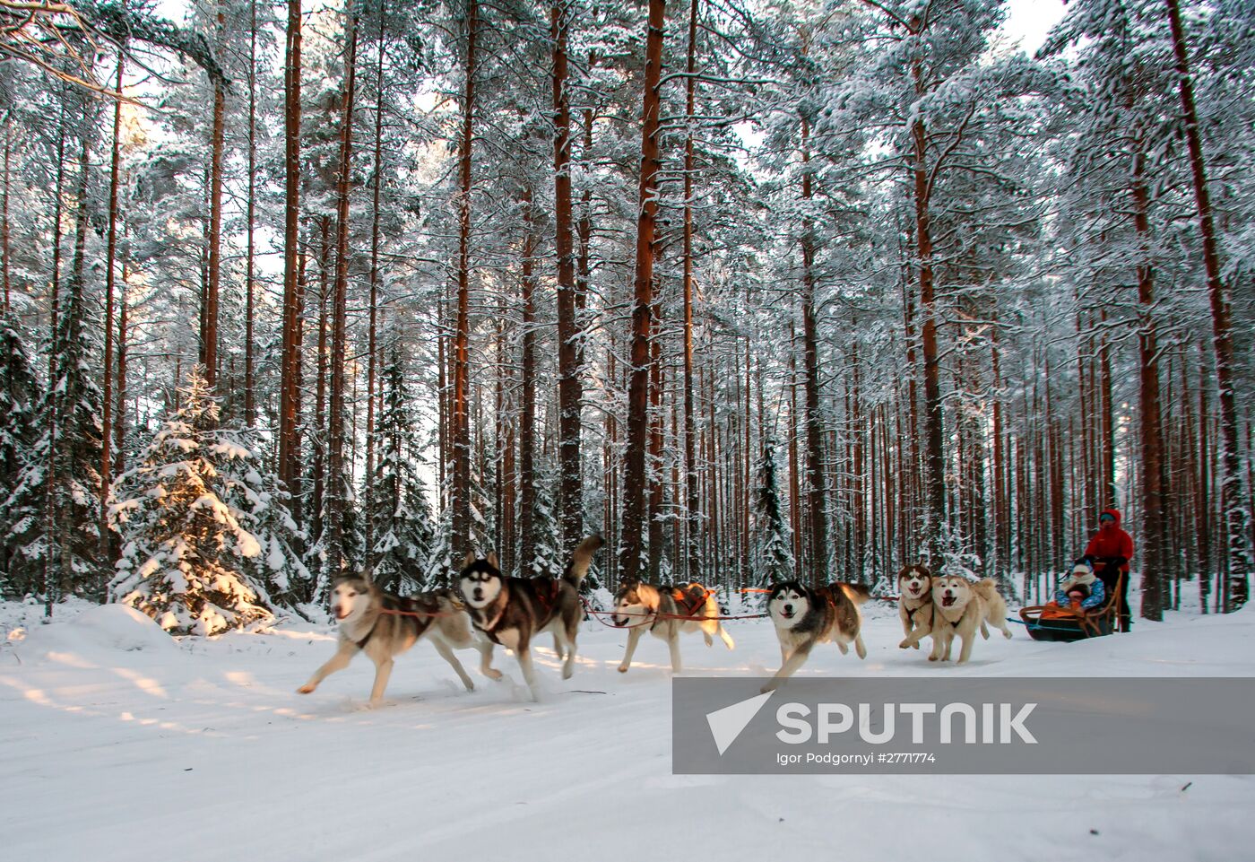 Shuya River tourism in Karelia