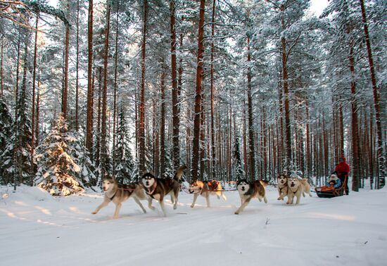 Shuya River tourism in Karelia