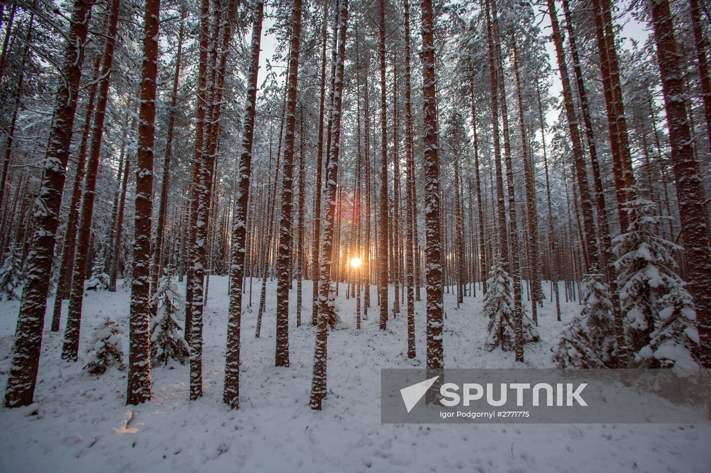 Shuya River tourism in Karelia