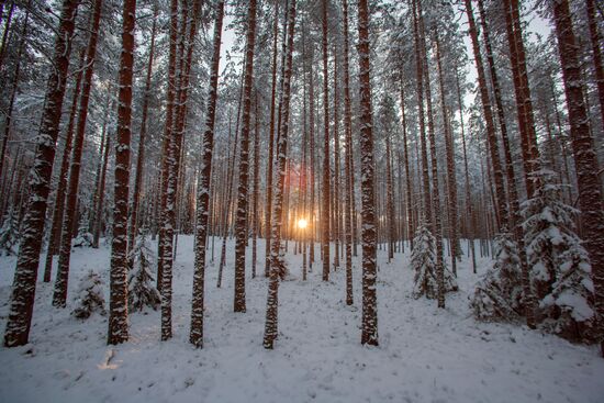 Shuya River tourism in Karelia