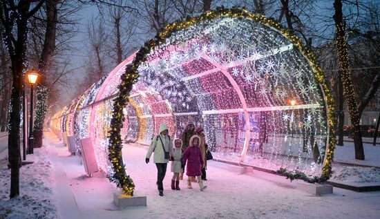 Snowfall in Moscow