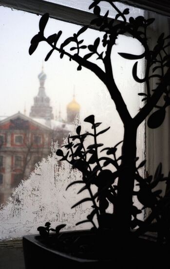 Winter weather in St. Petersburg