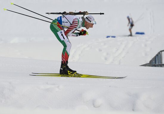 Biathlon. 5th Stage of World Cup. Men's Individual