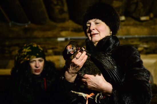 Christmastide in Novgorod Region