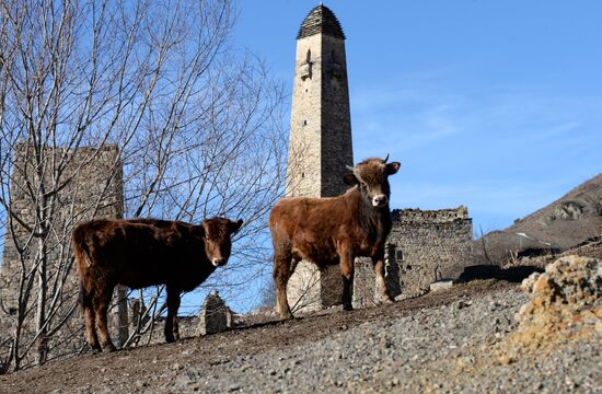 Republic of Ingushetia