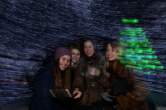 "The Ice Moscow. A Family Circle" festival in Pobedy Park on Poklonnaya Hill
