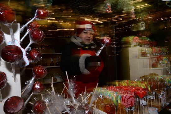 "The Ice Moscow. A Family Circle" festival in Pobedy Park on Poklonnaya Hill