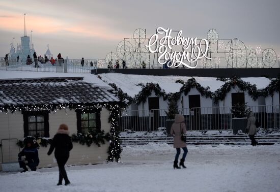 "The Ice Moscow. A Family Circle" festival in Pobedy Park on Poklonnaya Hill