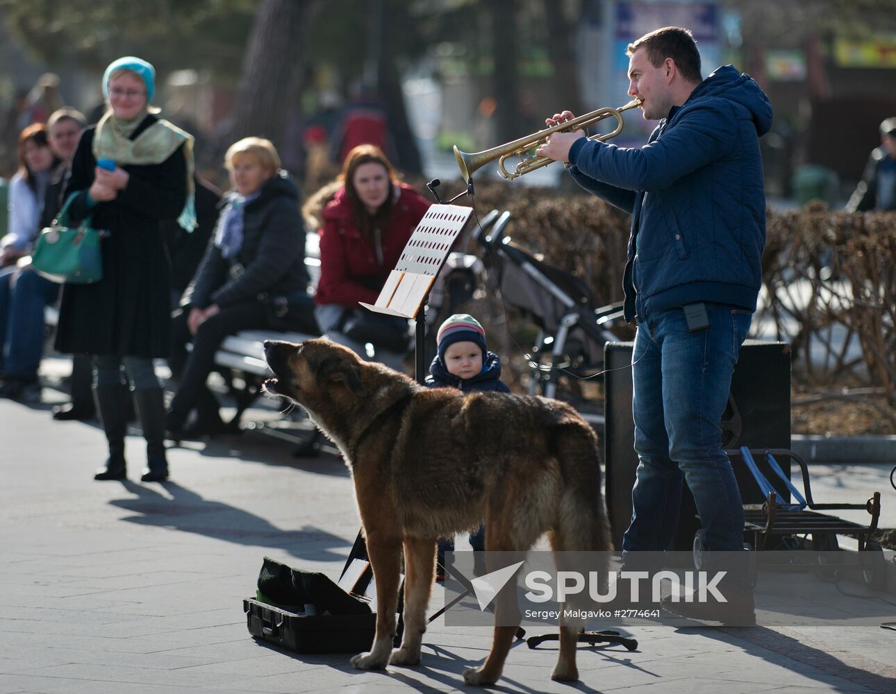 Regions of Russia. Crimea