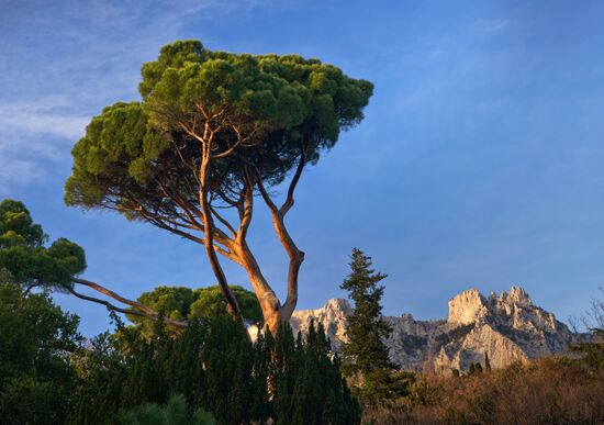 Regions of Russia. Crimea