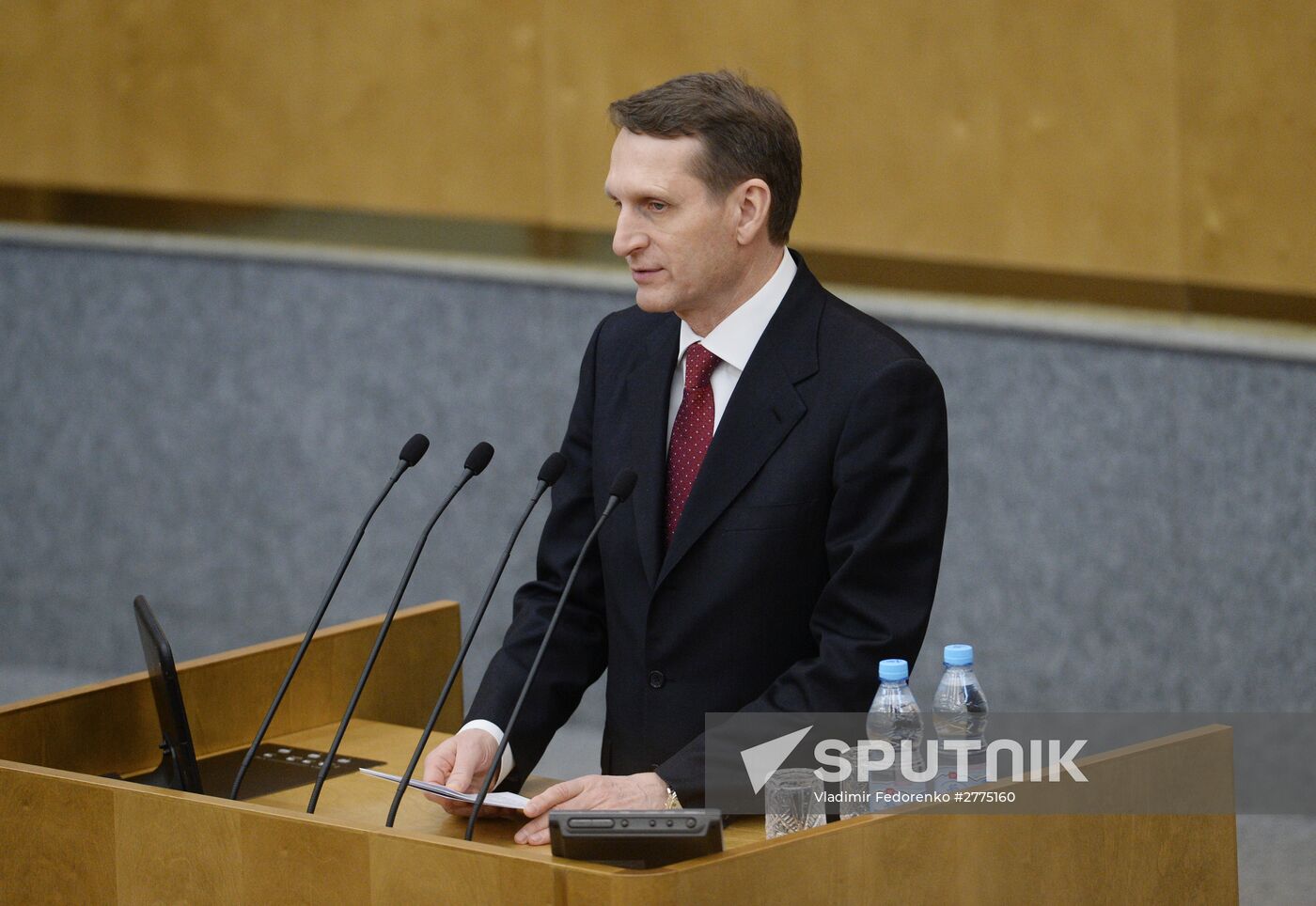 Plenary meeting of the State Duma of the Russian Federation