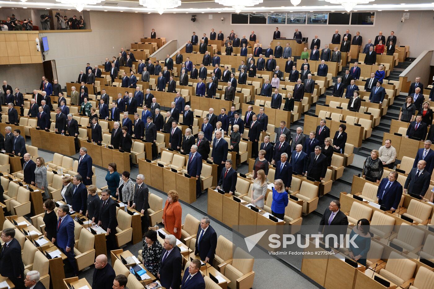 Plenary meeting of the State Duma of the Russian Federation
