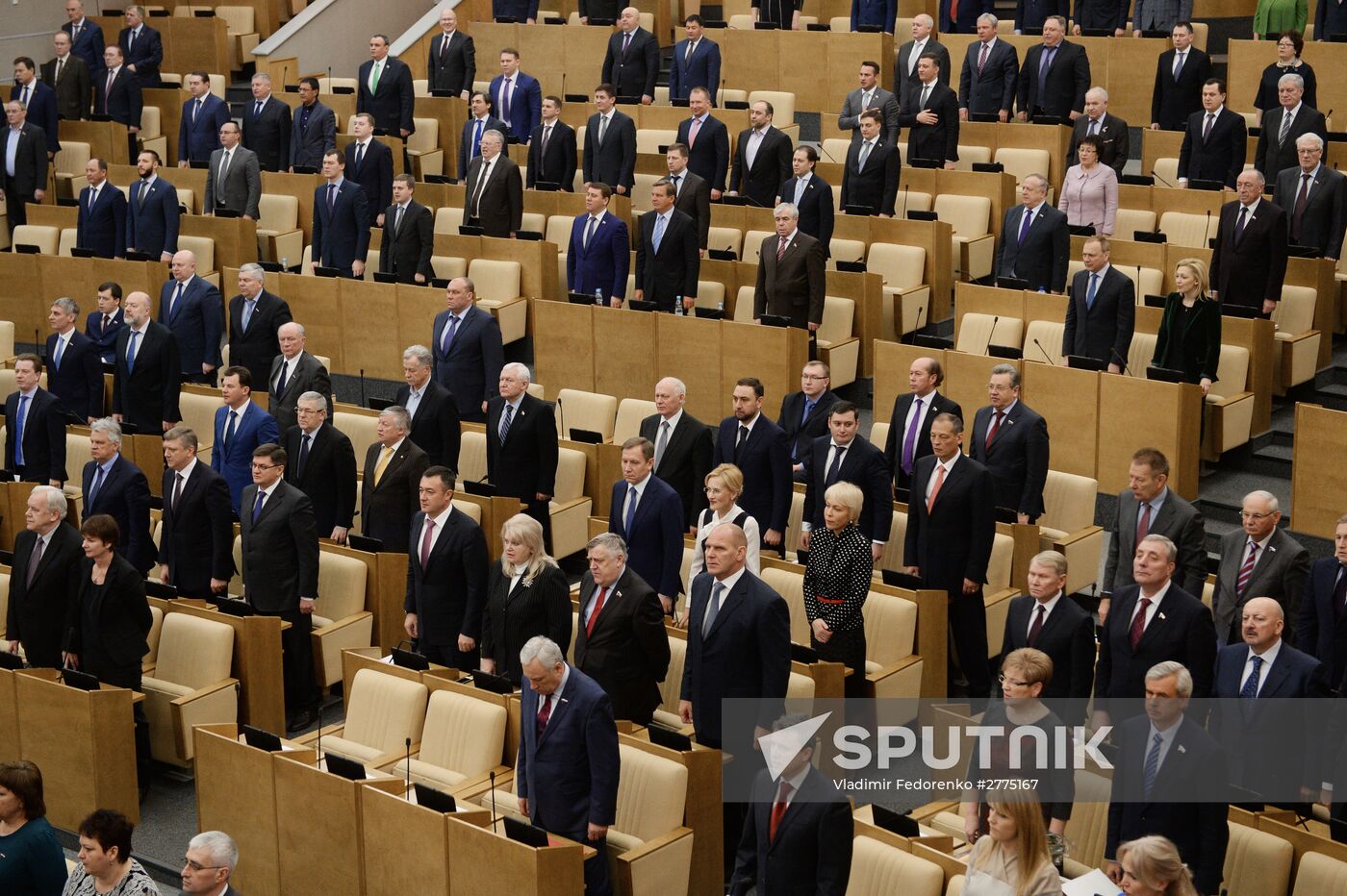 Plenary meeting of the State Duma of the Russian Federation