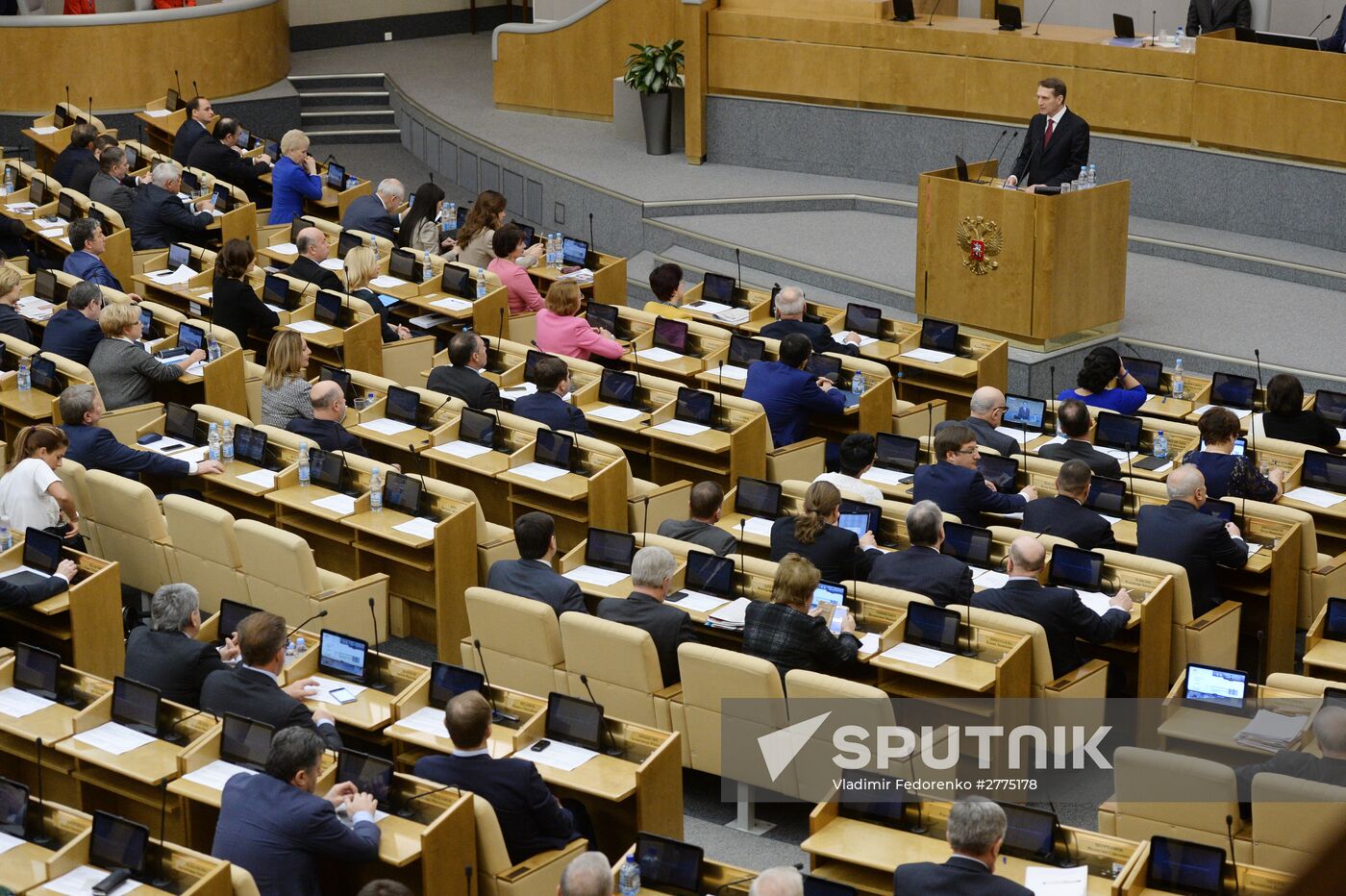 Plenary meeting of the State Duma of the Russian Federation