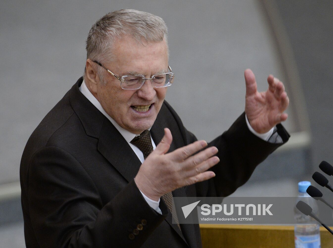 Plenary meeting of the State Duma of the Russian Federation