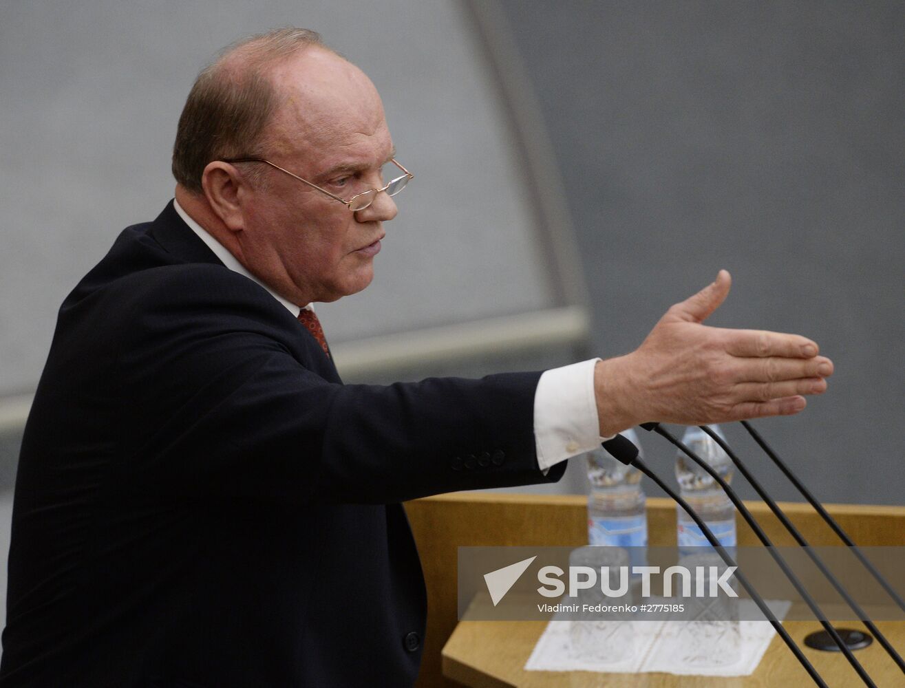 Plenary meeting of the State Duma of the Russian Federation