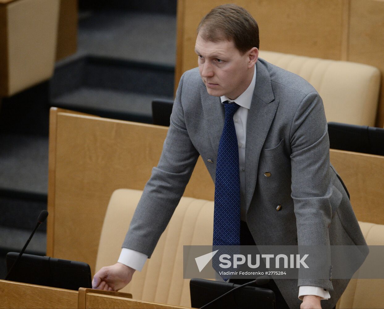 Plenary meeting of the State Duma of the Russian Federation