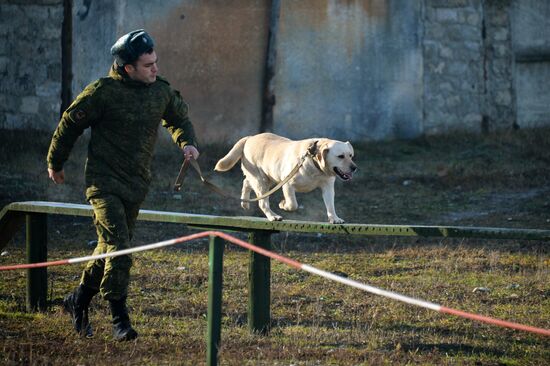 Combat engineer units exercise in Russian cities