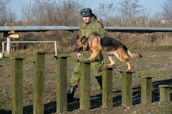 Combat engineer units exercise in Russian cities