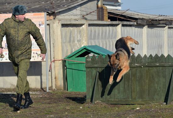Combat engineer units exercise in Russian cities