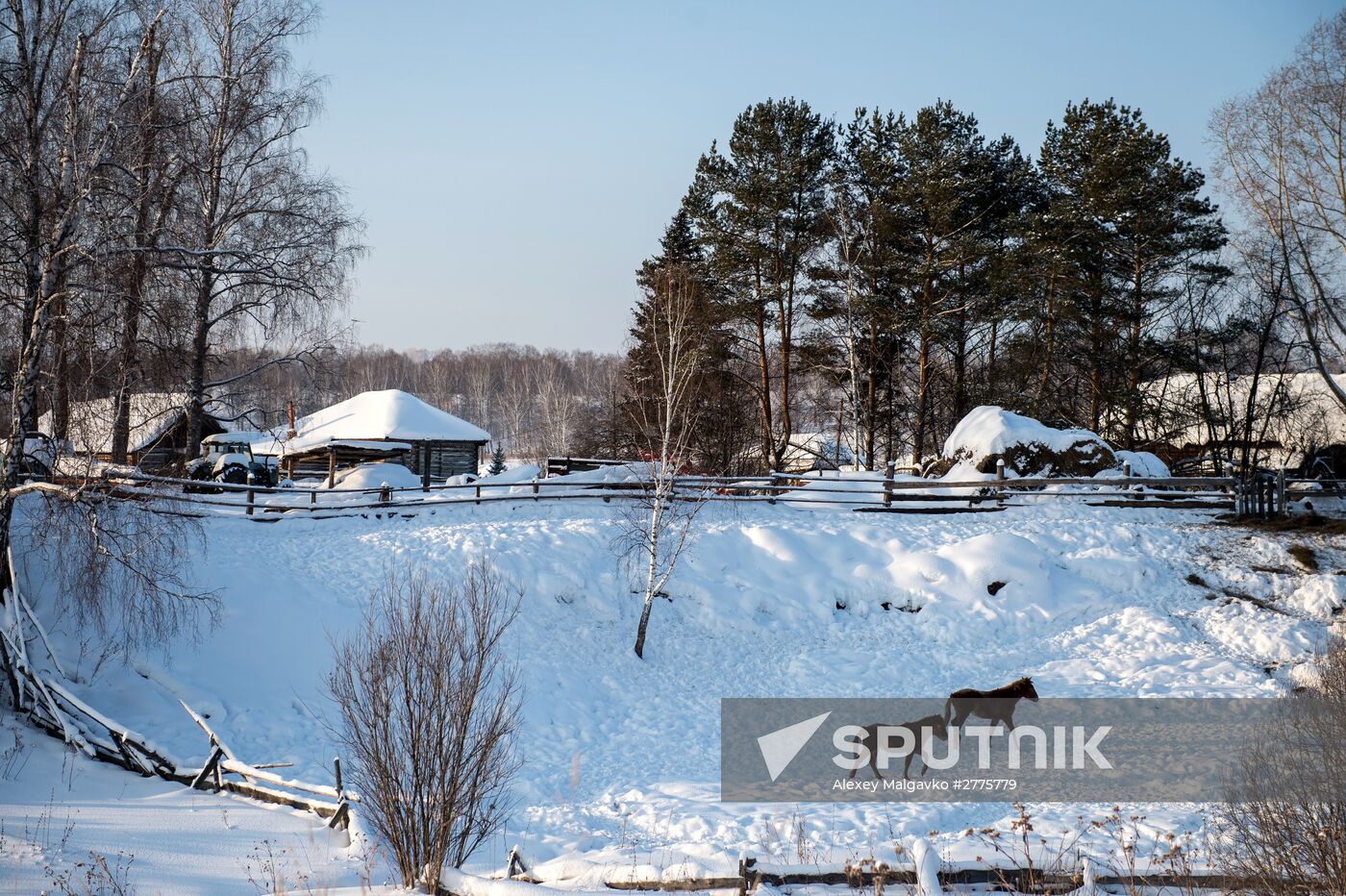 Winter in Omsk Region