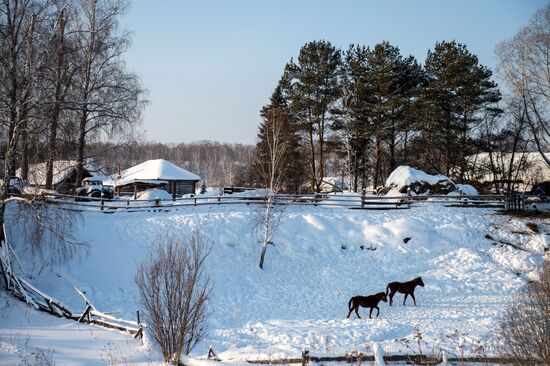Winter in Omsk Region