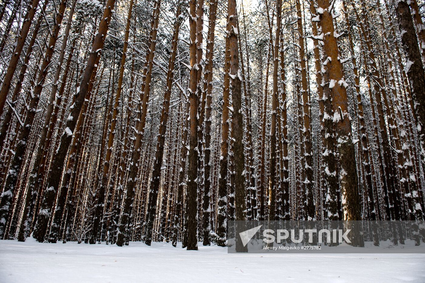 Winter in Omsk Region