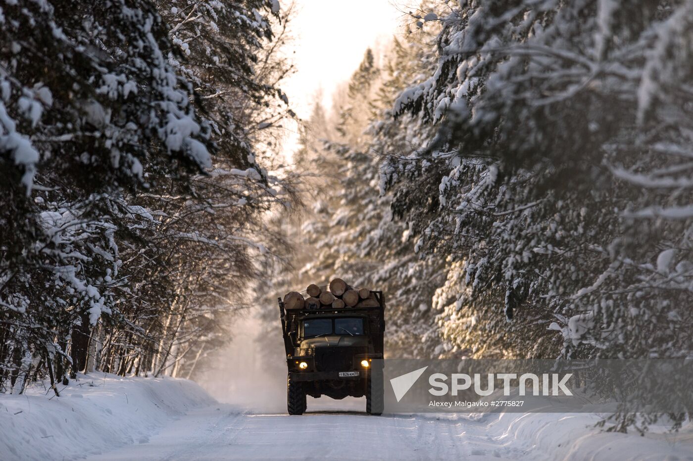 Winter in Omsk Region