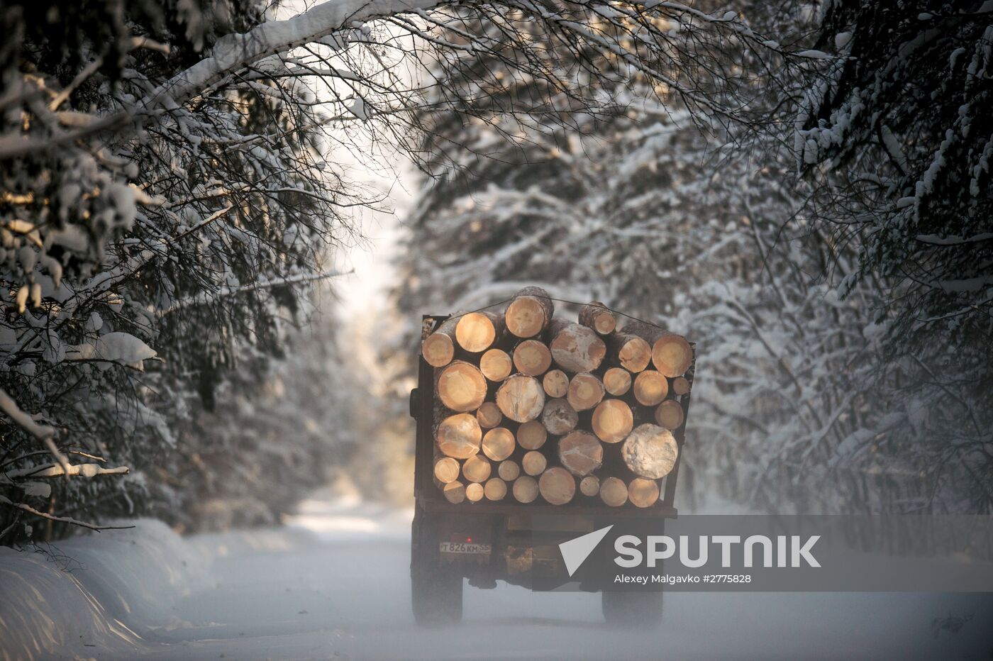 Winter in Omsk Region
