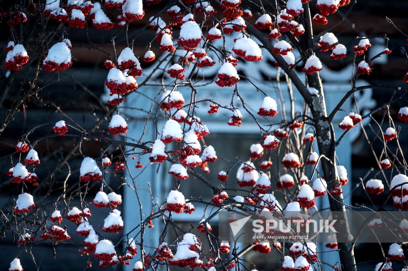 Winter in Omsk Region