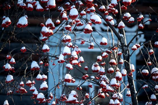 Winter in Omsk Region