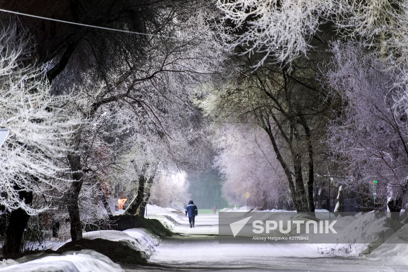 Winter in Omsk Region