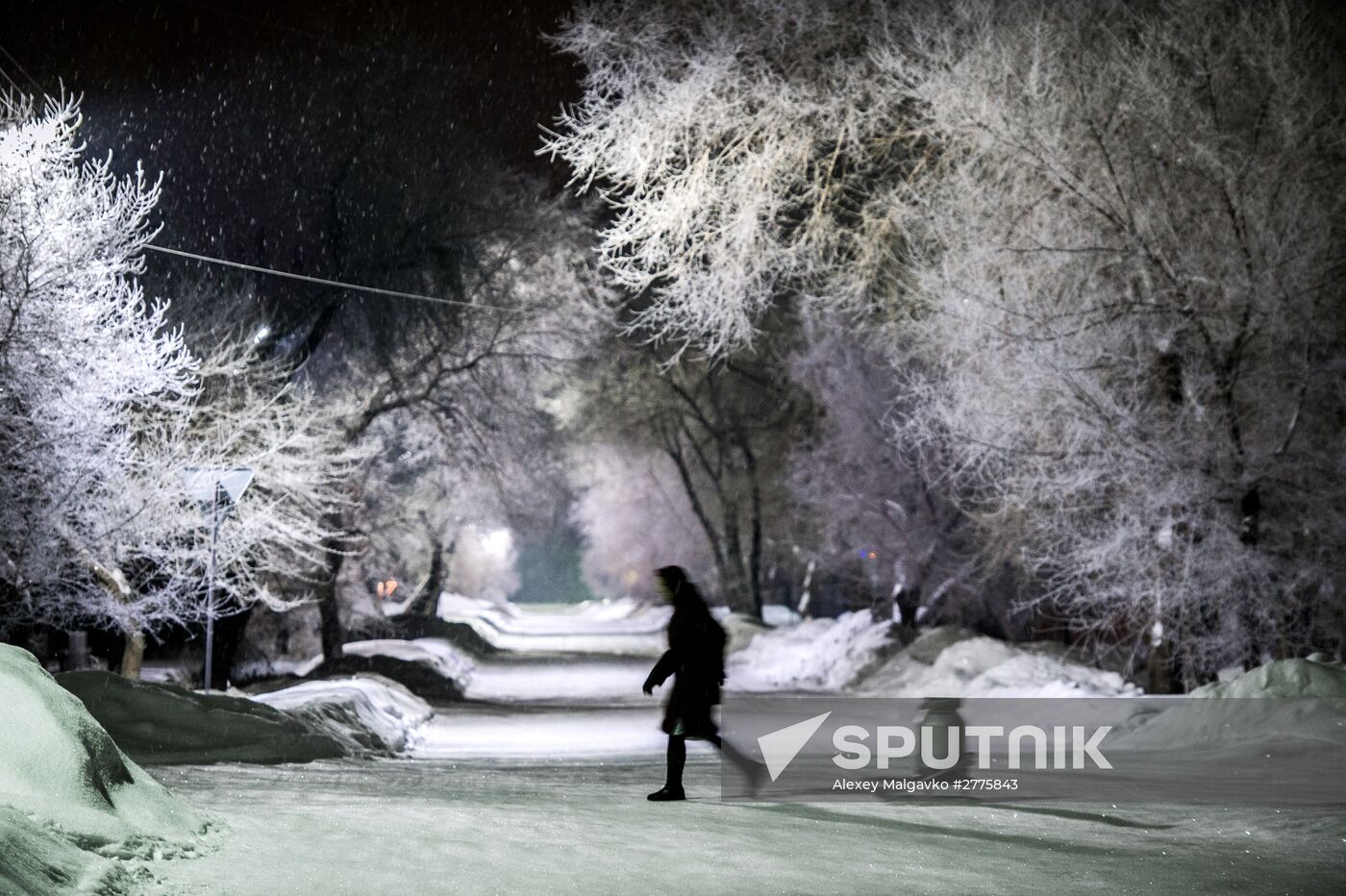 Winter in Omsk Region