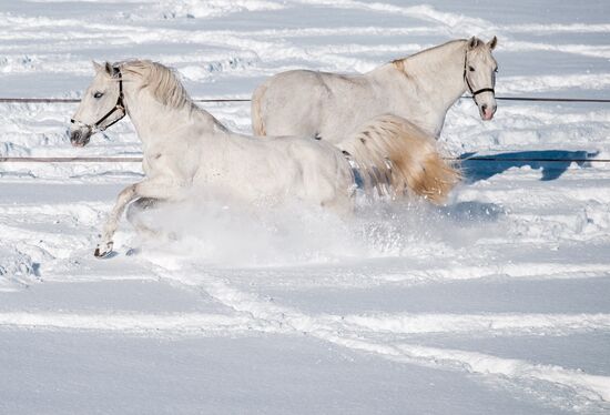 Austria