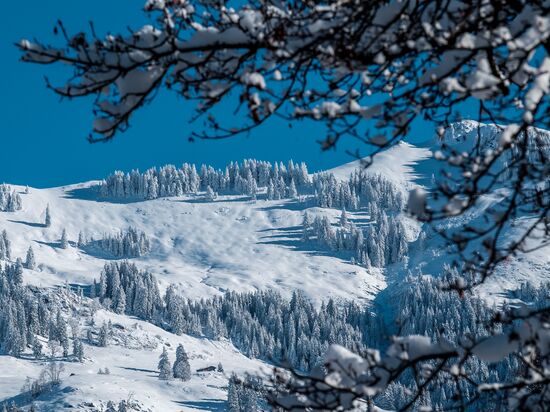 Countries. Austria