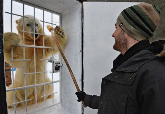 Traktor Hocky Club players visit their Altyn white bear charm
