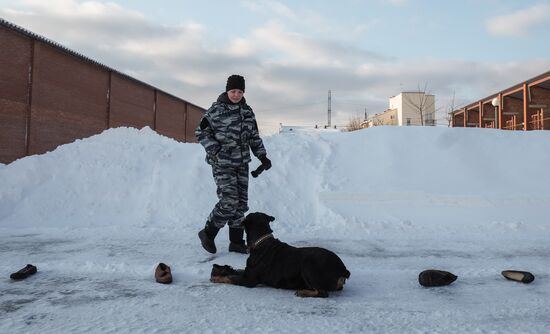Russian Interior Ministry holds 2016 Student Landing Troops campaign