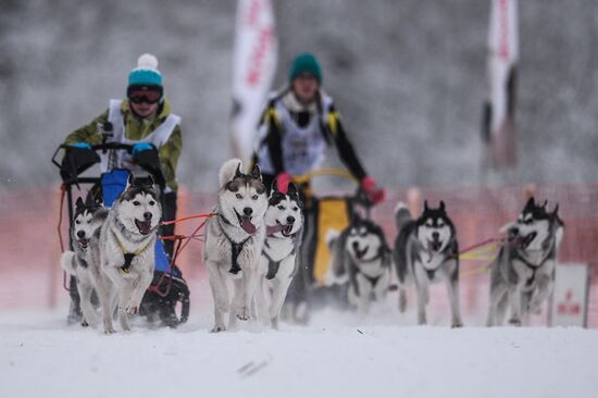 On the Land of Sampo international dog sled race